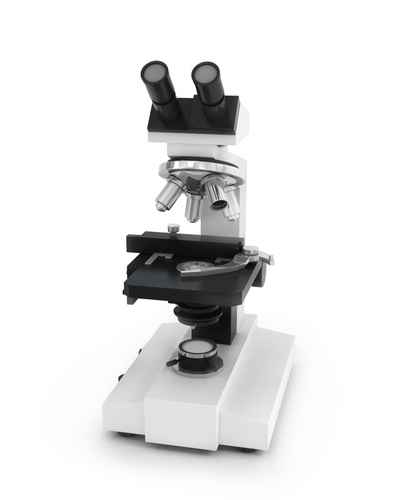 Microscope Nanopositioning Stage