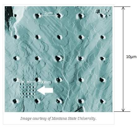 Montana State University AFM Image